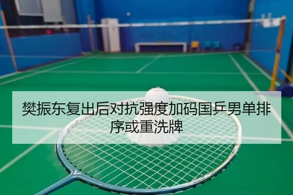 樊振东复出后对抗强度加码国乒男单排序或重洗牌 - MKSports